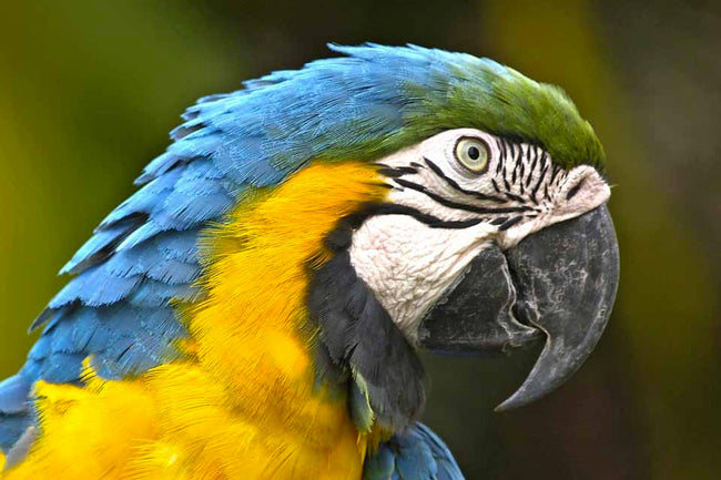 British Comedy Best Moments