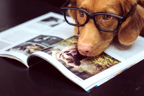 Novelists: It’s a funny story