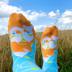 Art Socks for Women- Van Gogh