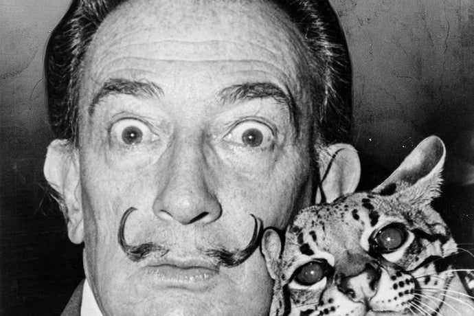 Decades On, Dali’s Still Full of Surprises