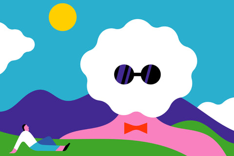 Why Do We Love Seeing Faces in Objects?