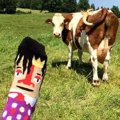 Art Socks with a Cow