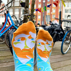 Van Gogh Funny Socks